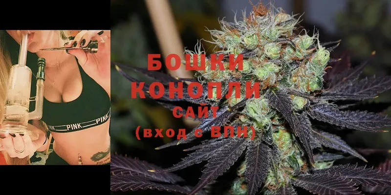 Шишки марихуана THC 21%  купить наркотик  Кудрово 